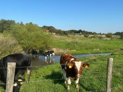 Holiday park Ferienhaus in Plasmolen nahe Seen - Environment photo 26