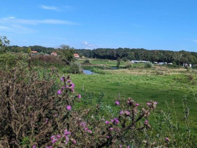 Holiday park Ferienhaus in Plasmolen nahe Seen - Environment photo 29