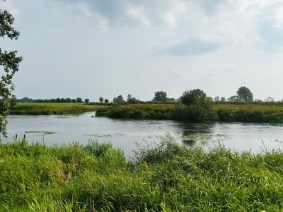 Holiday park Ferienhaus in Plasmolen nahe Seen - Environment photo 34