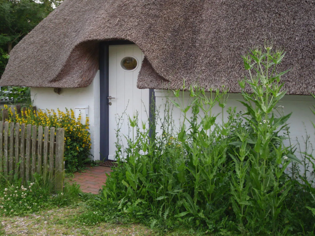 Holiday house Die Kate - Outdoor photo 5