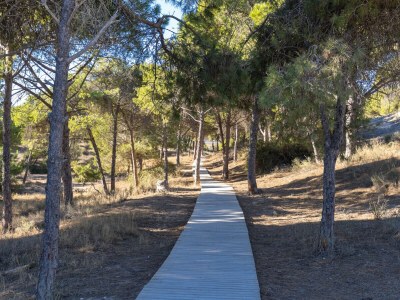 Bungalow Coral SeaShell by Fidalsa - Environment photo 24