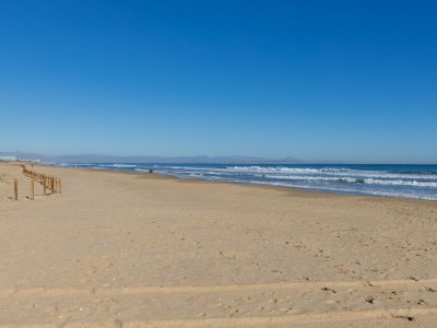 Bungalow Coral SeaShell by Fidalsa - Environment photo 25