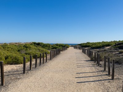 Bungalow Coral SeaShell by Fidalsa - Environment photo 27