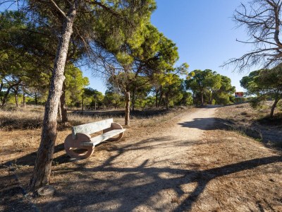 Bungalow Coral SeaShell by Fidalsa - Environment photo 28