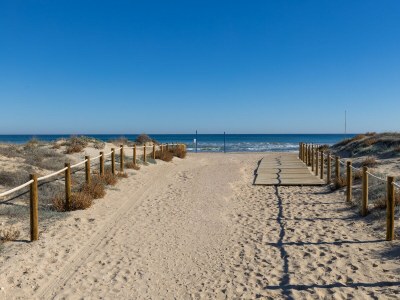 Bungalow Coral SeaShell by Fidalsa - Environment photo 29