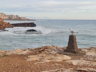 Villa Fidalsa Moon Dunes - Environment photo 59