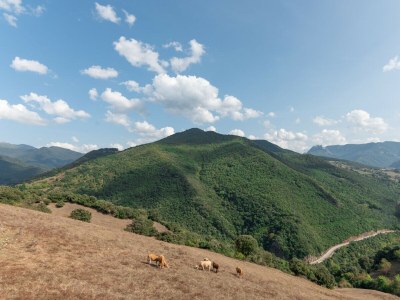 Villa Fidalsa Paradise Point - Outdoor photo 6