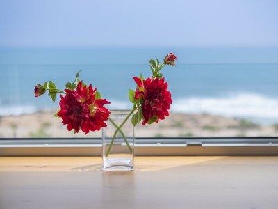 Apartment Fidalsa Paradise Sea Punta Prima - Environment photo 25