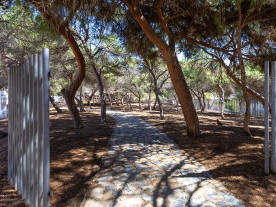 Apartment Magical Sunsets by Fidalsa - Environment photo 22