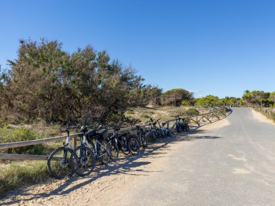 Bungalow Marina Blue by Fidalsa - Environment photo 16