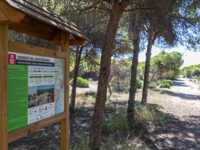 Bungalow Marina Blue by Fidalsa - Environment photo 17