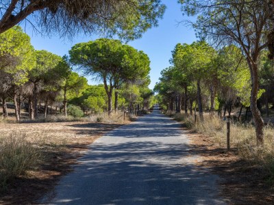 Bungalow Marina Blue by Fidalsa - Environment photo 21