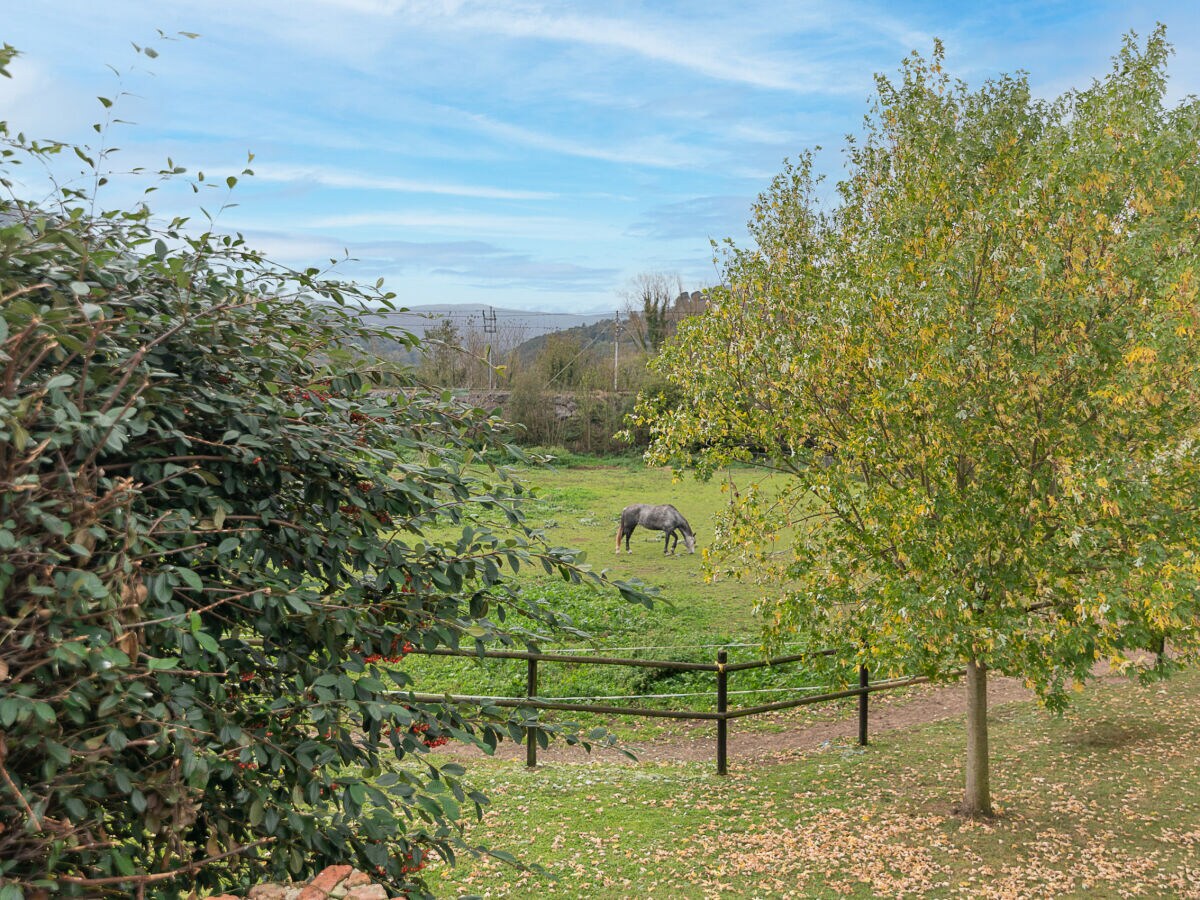 Villa The Stone House by Fidalsa - Outdoor photo 4