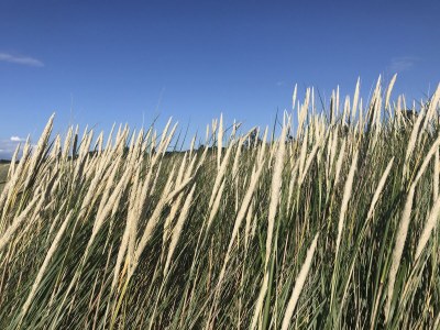 Holiday apartment Ferienwohnung"Kati" - Environment photo 30