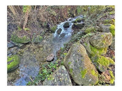 Holiday house Casa Mulino - Outdoor photo 11