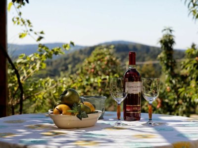 Holiday apartment Ferienapartment Zum Sonnenhügel Ferienwohnung " Waldheimat " - Environment photo 13