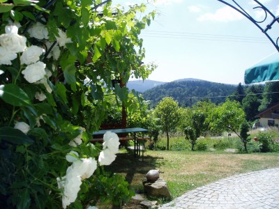 Holiday apartment Ferienapartment Zum Sonnenhügel Ferienwohnung " Waldheimat " - Environment photo 15
