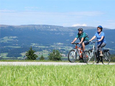 Holiday apartment Ferienapartment Zum Sonnenhügel Ferienwohnung " Waldheimat " - Environment photo 36