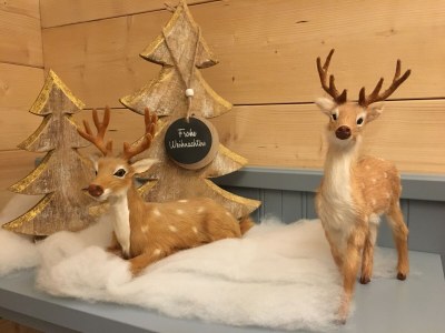 Holiday apartment Ferienapartment Zum Sonnenhügel Ferienwohnung " Waldheimat " - Environment photo 39