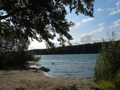 Apartment Apartment für 6 Personen in Strausberg - Environment photo 29