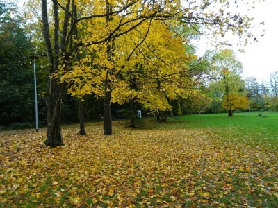 Apartment Appartement in Strausberg mit Frühstück inklusive - Environment photo 19