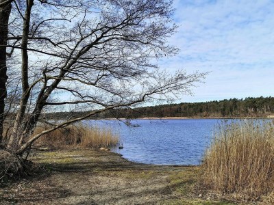 Apartment Appartement in Strausberg mit Frühstück inklusive - Environment photo 24