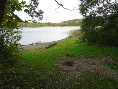 Apartment Appartement in Strausberg mit Frühstück inklusive - Environment photo 37