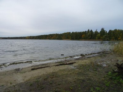 Apartment Appartement in Strausberg mit Frühstück inklusive - Environment photo 40
