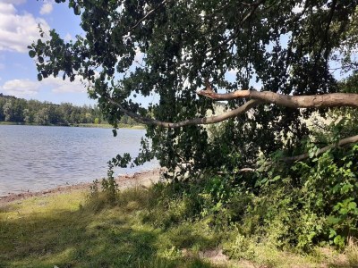 Apartment Appartement für 3 Personen in Strausberg - Environment photo 26