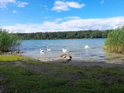Apartment Appartement für 3 Personen in Strausberg - Environment photo 36