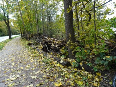 Apartment Appartement für 4 Personen in Strausberg - Environment photo 30