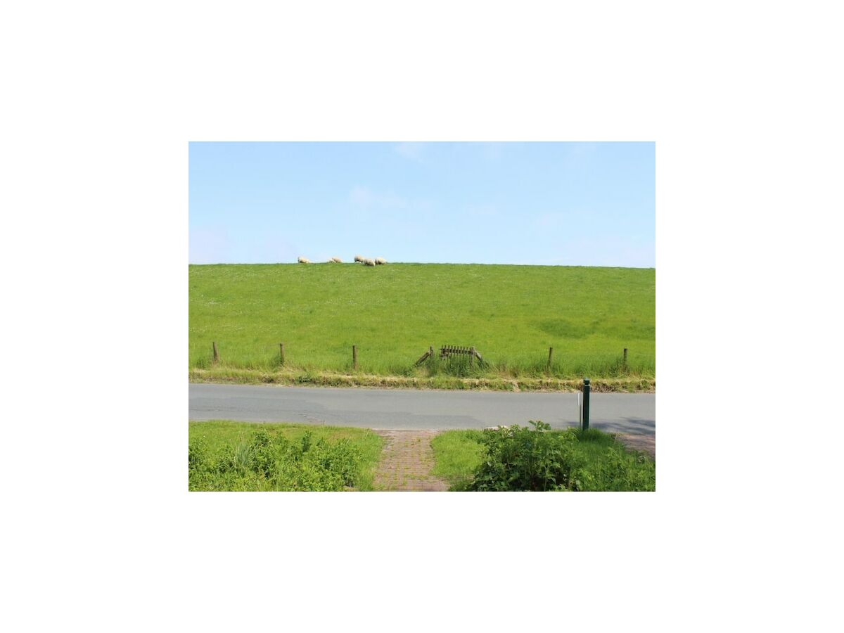 Apartment Ferienwohnung im Reetdachhaus, Burhave - Outdoor photo 4