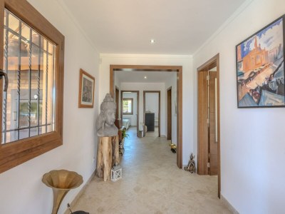 Holiday house Sa Chabola, near Tramuntana Reserve - Outdoor photo 39