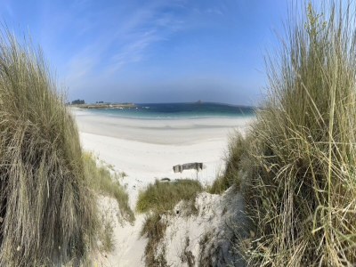 Holiday house Beach House in Ploudalmézeau by Treompan Beach - Outdoor photo 9