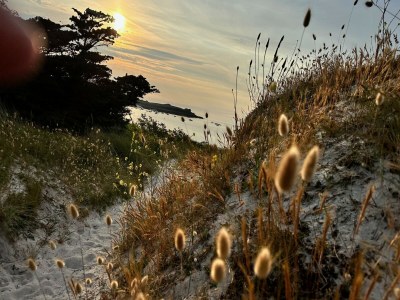 Holiday house Beach House in Ploudalmézeau by Treompan Beach - Outdoor photo 30