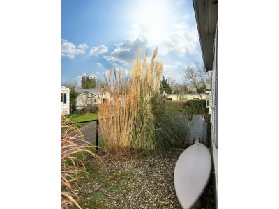 Chalet RBR 1342 - Beach Resort Kamperland - Environment photo 14