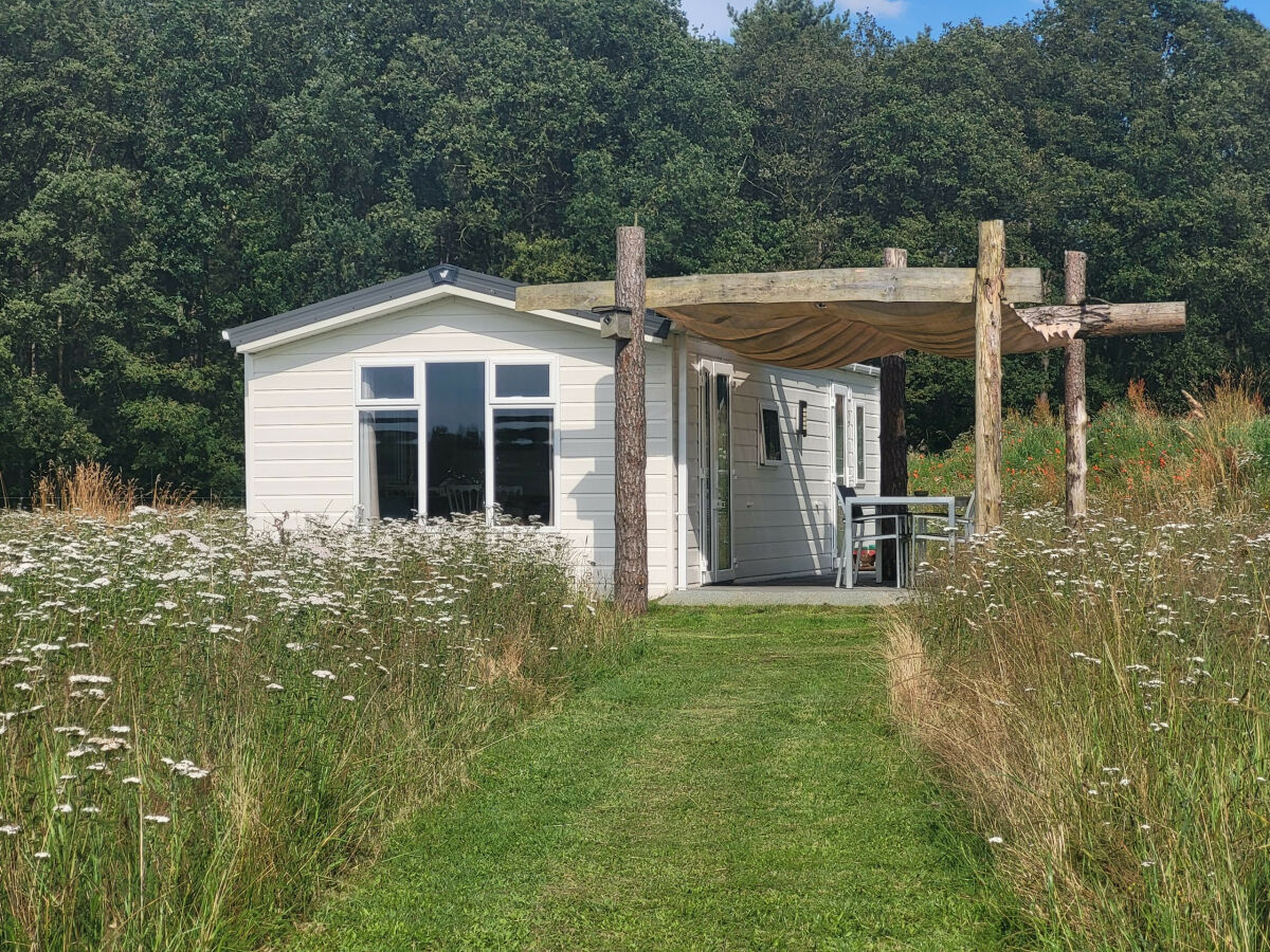 Chalet Hoeve Twente - De Bonte Specht - Outdoor photo 2