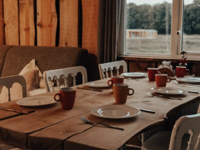 Chalet Hoeve Twente - De Bosuil - Features photo 6