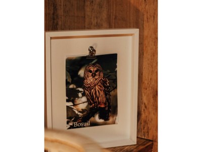 Chalet Hoeve Twente - De Bosuil - Features photo 10