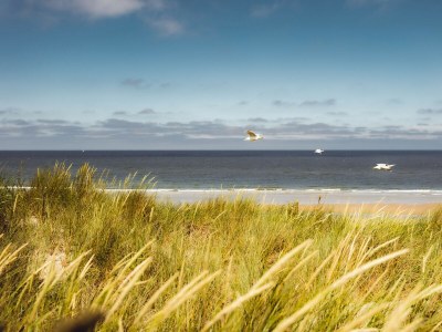 Chalet KD 808 - Vakantiepark Kijkduin - Outdoor photo 13