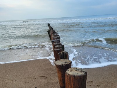 Chalet RBR 312 - Beach Resort Kamperland - Environment photo 11