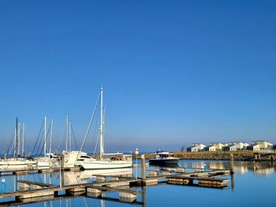 Chalet RBR 312 - Beach Resort Kamperland - Environment photo 12