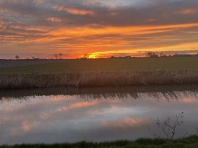 Bungalow Bungalowpark de Horn - 128 - Environment photo 17