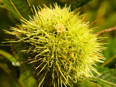 Holiday house Vuelta Abajo - Outdoor photo 9