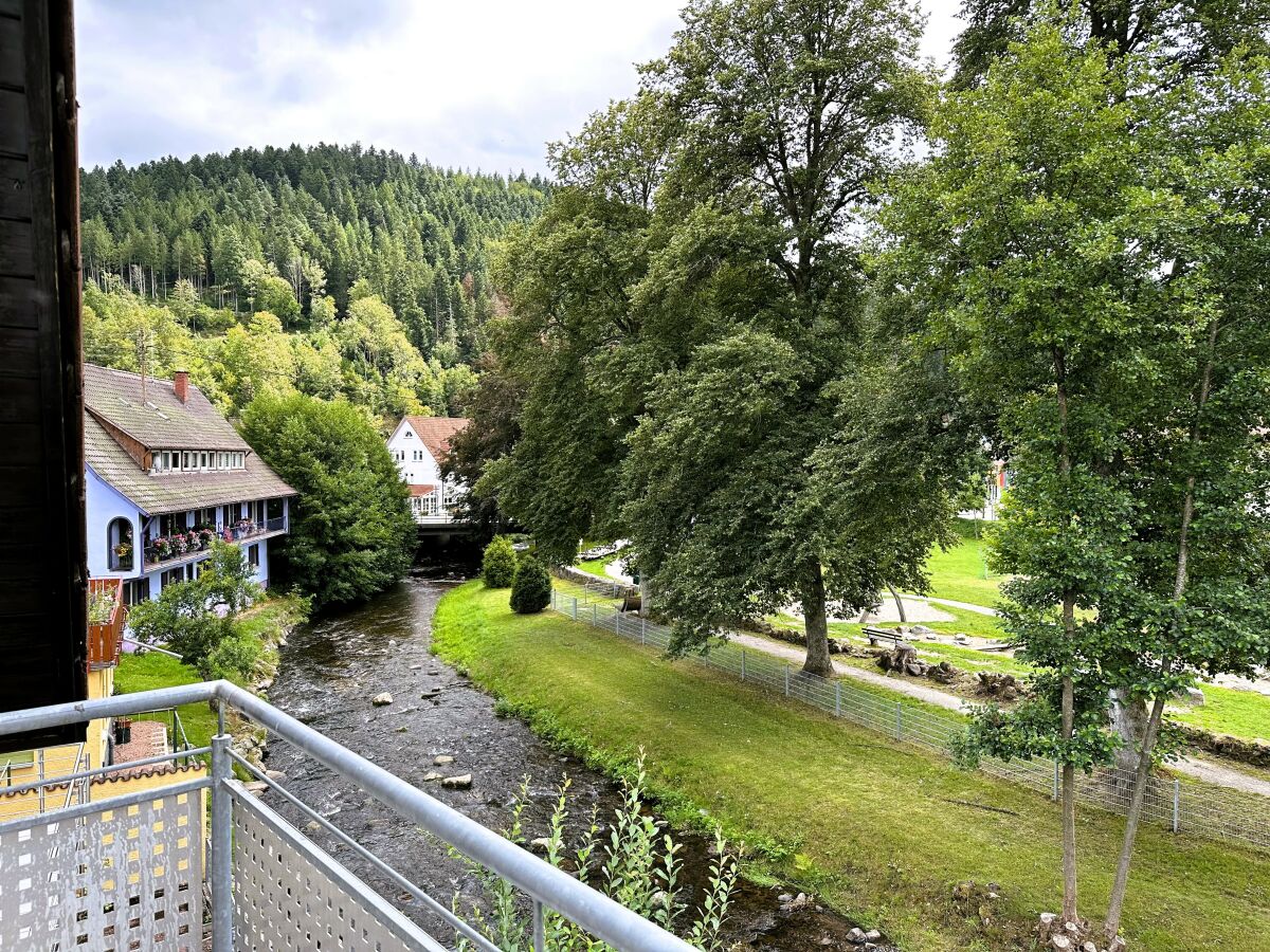 Holiday apartment Dream holiday apartment Kinzigblick - Outdoor photo 4