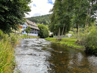 Holiday apartment Dream holiday apartment Kinzig-Chalet - Environment photo 21