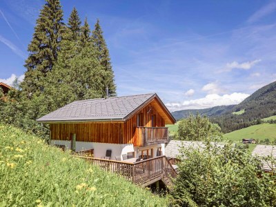 Holiday park Chalet in Dachstein West with shared pool in Lammertal Dachstein West - Holiday park