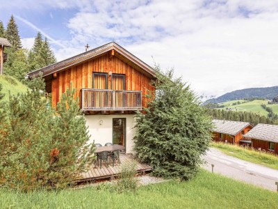 Holiday park Chalet in Annaberg-Lungotz mit gemeinsamer Sauna - Outdoor photo 10