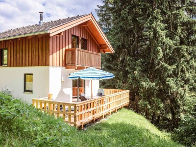 Holiday park Chalet in Annaberg-Lungotz with a community pool in Lammertal Dachstein West - Holiday park