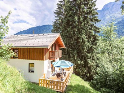 Holiday park Chalet in Annaberg-Lungotz with a community pool - Outdoor photo 8